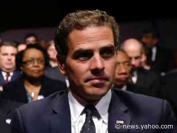 The mother of Hunter Biden's secret child is asking him to cover the $11,000 cost of taking up the paternity case