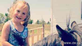 1 year after N.S. girl killed at Christmas parade, gift to charity creates 'glimmer of hope'