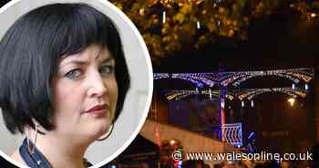 Hundreds of people watch Gavin and Stacey's Nessa switch on Barry's Christmas lights