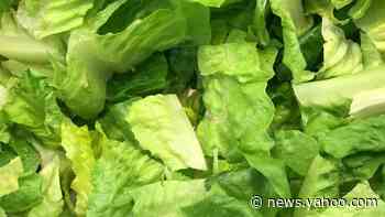 Nearly 100,000 Pounds of Packaged Salads Recalled Due to E. Coli Concerns