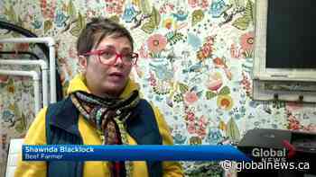 Saskatoon Farmers’ Market members to open online store