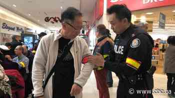 A form of 'victim blaming'? Pedestrian safety session for seniors aims to curb deaths, but also draws ire