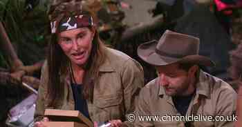 I'm A Celebrity contestants' luxury items revealed and one of them is a Christmas tree