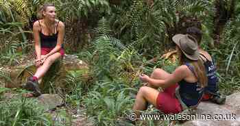 I'm A Celebrity site in lockdown with 'killer' on the loose near camp after body found