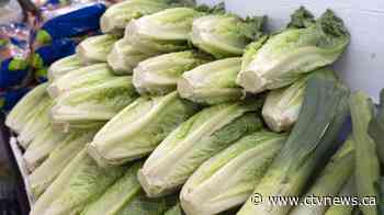 Loblaw alerts customers about romaine as health officials confirm Canadian case of E. coli