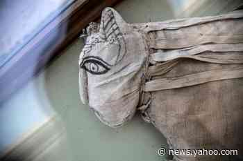 Lion cub mummies feature in huge ancient Egypt find