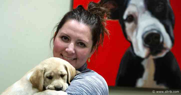 See this painter’s joyful dog portraits as artists across Utah County open their studios to visitors