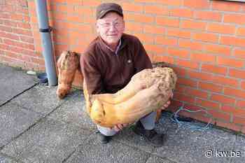 André kweekt reusachtige biet van 14,3 kilo