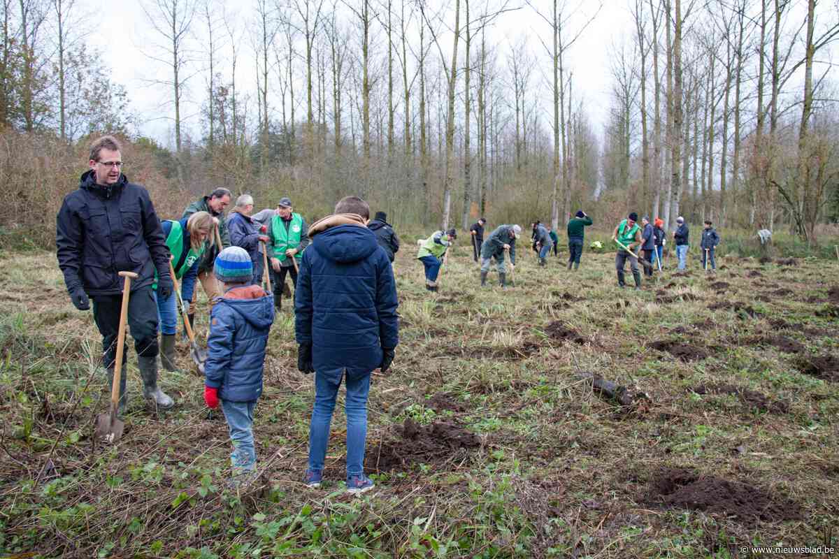 2500 jonge boompjes verrijken Scheldevallei in Moerzeke