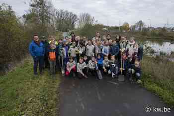 Provincie en Scouts planten 71 populieren langs de Vleterbeek in Poperinge
