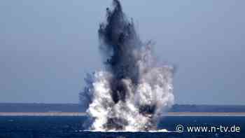 Sprengungen in der Ostsee: Wale womöglich bei Marine-Aktion getötet