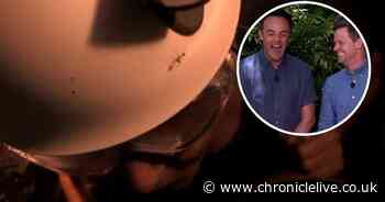 I'm A Celebrity's Jacqueline Jossa and Ian Wright 'trapped' in terrifying Bushtucker Trial