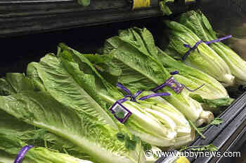 Don’t eat romaine grown in Salinas, California, Canadian officials warn