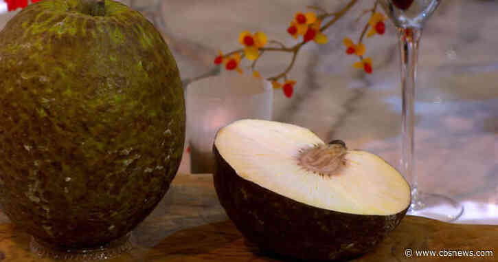Breadfruit, a staple food of the tropics