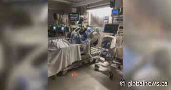 CPR saves 19-year-old Edmonton ball hockey player’s life