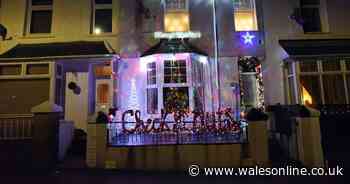 Man puts up 'check your nuts' Christmas lights after having testicular cancer