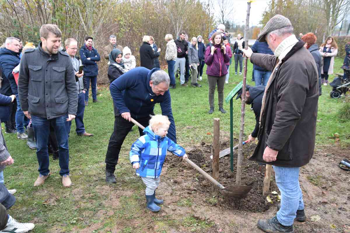 Nieuwe geboorteboom voor 41 jonge Pepingenaartjes
