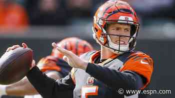 Bengals make franchise history after hitting 0-11