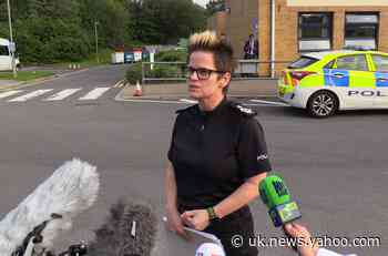 Police Chief Says She Faced Sexist And Homophobic Abuse Over Hairstyle