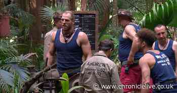 I'm A Celebrity's Dingo Dollar Challenge causes unexpected jungle spat