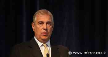 Prince Andrew to step back from all 230 of his patronages after Epstein interview