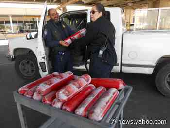 That's a lot of bologna: US border officers seize more than 150 pounds of pork