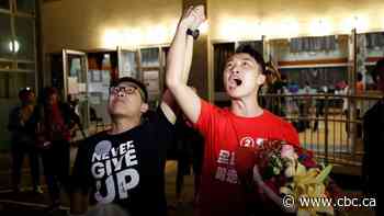 'Democratic tsunami': Hong Kong pro-democracy camp dominates local elections