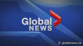 Global News Hour at 6 Edmonton: Sunday, Nov. 24