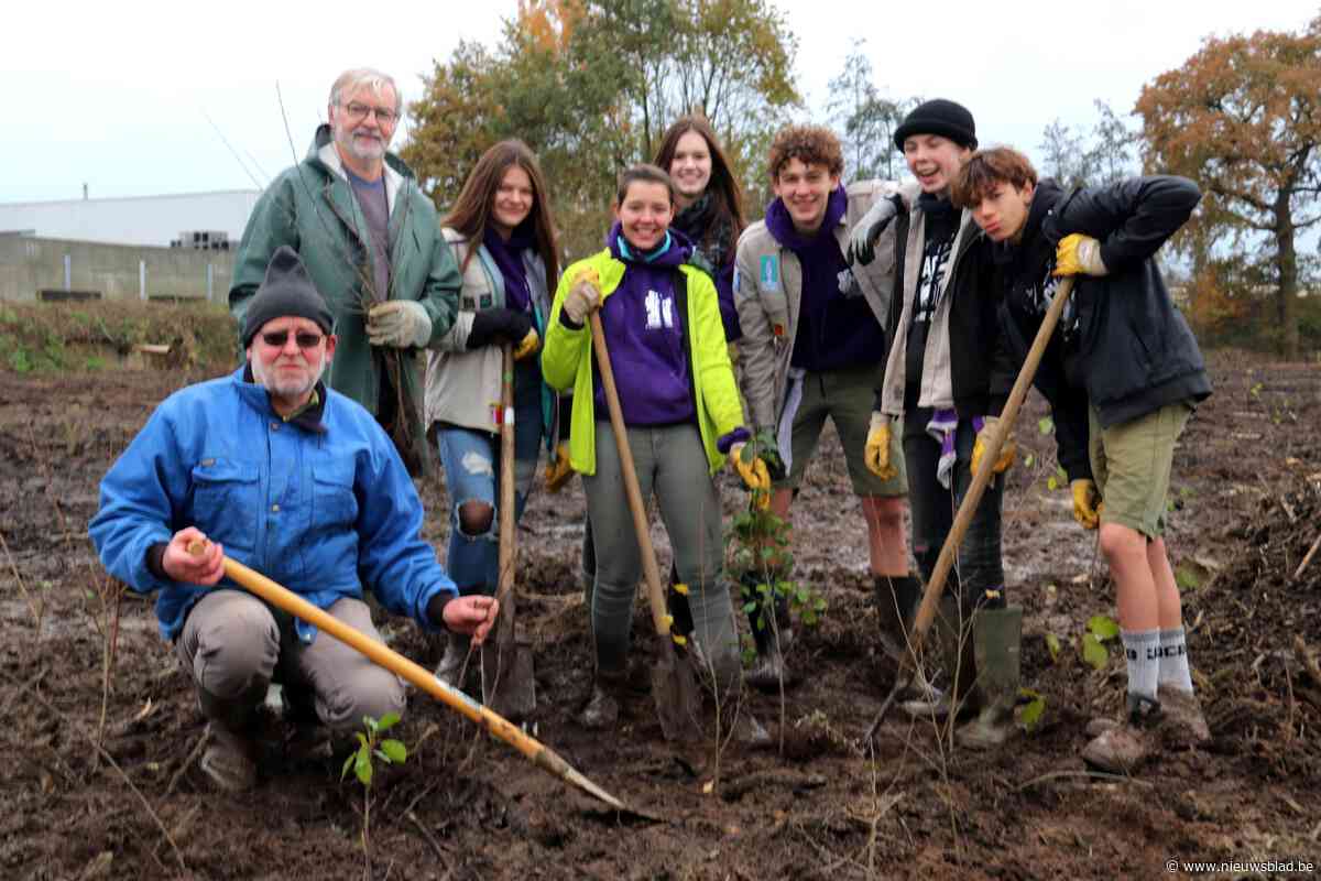 Natuurpunt en jongeren planten 3.500 bomen