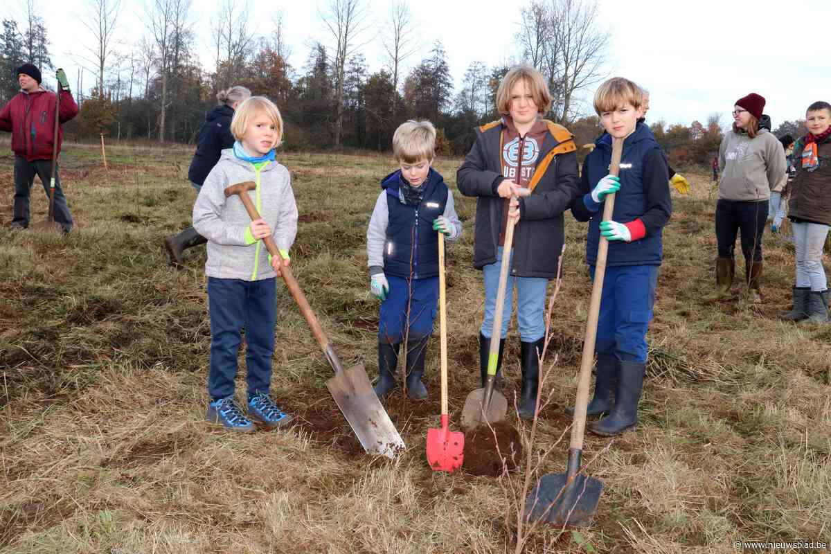 Natuurpunt plant 1.600 bomen om meer vogels naar Dassenaarde te lokken