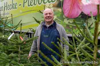 Wat zal het zijn: een traditionele kerstspar van de Kouter of een kerstberk uit Parkbos?