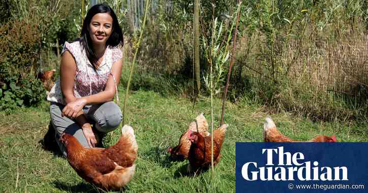 TV tonight: from ranch to plate, the stomach-churning story of human carnivores