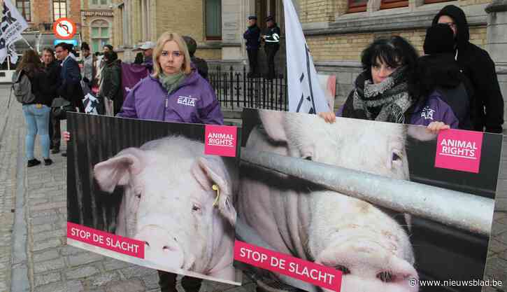Animal Rights demonstreert tijdens pleidooien in rechtszaak tegen slachthuis Tielt