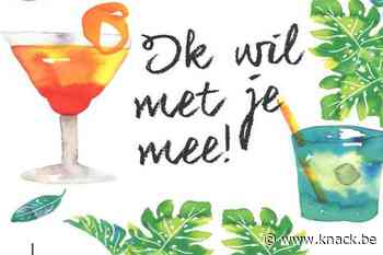 Lukas De Vos over 'Ik wil me je mee!' van Jill Mansell: 'rechtdoor rechttoe verhaal, zonder verrassingen'