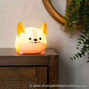 Corgi Ambient Light