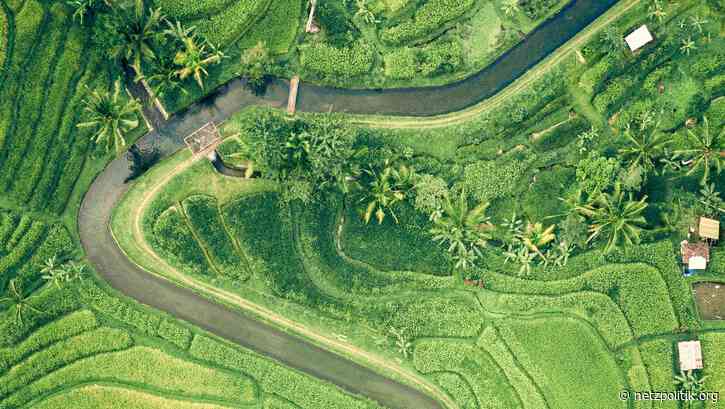 Plattformen: Nicht Inhalte regulieren, sondern Prozesse