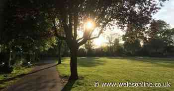 Police interview two boys after children 'made to lick dog faeces off shoe' in Cardiff park