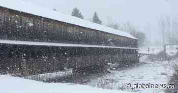Snowy conditions persist across northern New Brunswick on Monday