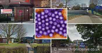 Officials urge people to get flu vaccine after norovirus outbreak across North East schools