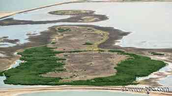 The newest piece of land on Earth?