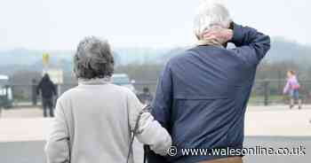 The Older Persons' Council in Neath Port Talbot is to be dissolved