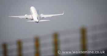 Expedia launches Black Friday flight and holiday sale