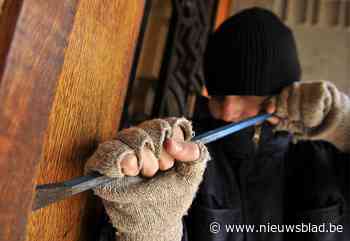 Politie klist tieners van 15, 16, 17 en 18 voor negen inbraken in Limburg