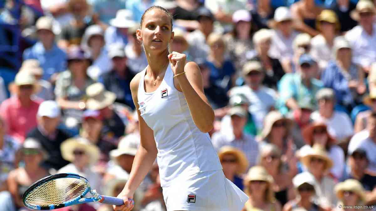 World No. 2 Pliskova hires Vallverdu as coach
