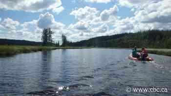 'Playing God': Exploring the depths of the oil industry's compensation lakes