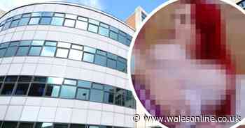 Hardcore porn retweeted from Welsh Office Twitter account