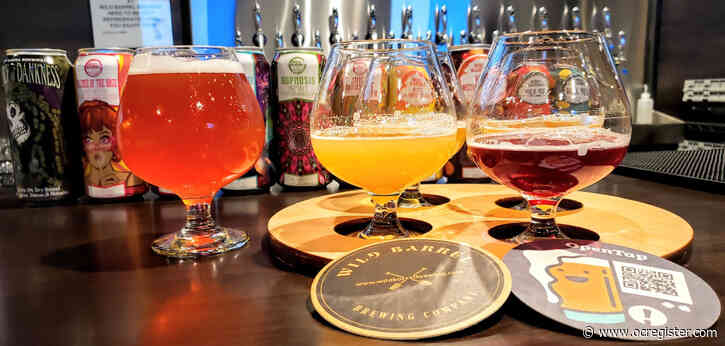 Wild Barrel Brewing opens tasting room in Temecula, plans Orange County expansion next