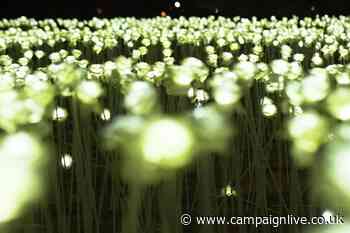 Royal Marsden charity partners Anya Hindmarch for illuminated rose display