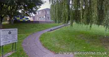 Man, 20, dies after falling ill while in custody at police station at Newtown in Powys