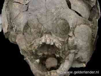 2100 jaar oude baby’s opgegraven die kinderschedels droegen als helm